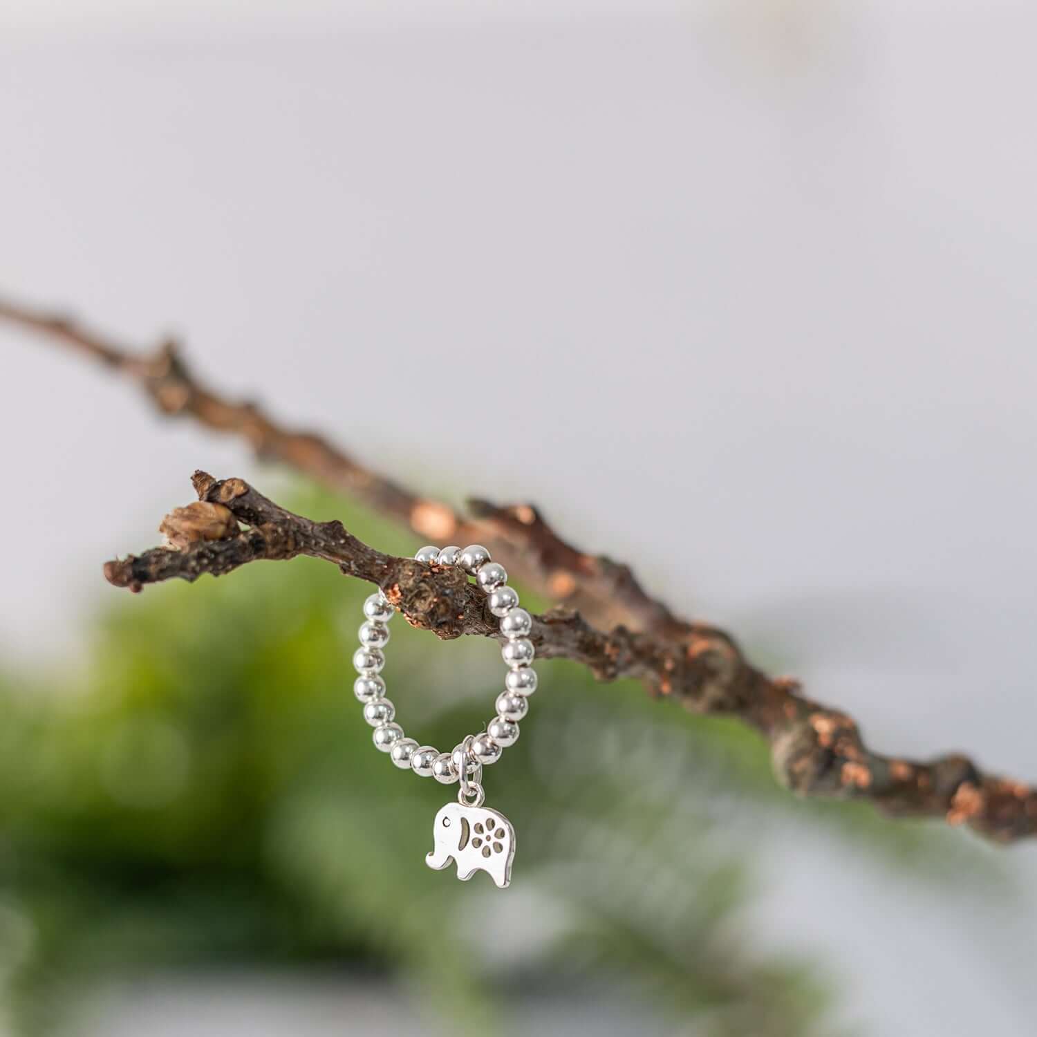 A silver beaded charm ring with an elephant charm hangs delicately on a twig. The branch, with a rustic texture, contrasts with the polished metal of the ring. The background is softly blurred, featuring green foliage and creating a serene natural setting