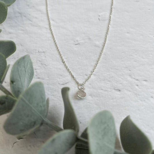Rose Quartz Birthstone Necklace with sterling silver chain and rose quartz charm styled on eucalyptus background